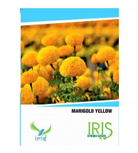 Iris F1 Marigold Yellow Seeds 15 Seeds
